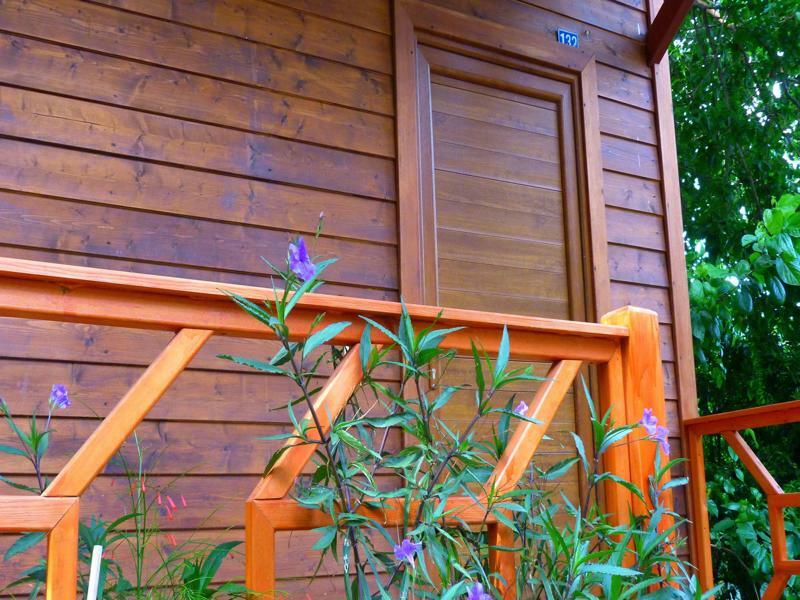 Cirali Simge Holiday Houses Exterior photo